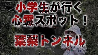 500いいねで夜行きます。  #葉梨トンネル #心霊 #心霊スポット 