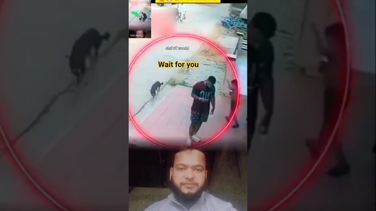 الله اکبر#shorts