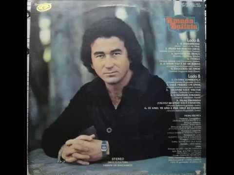 Amado Batista (quando você voltar)