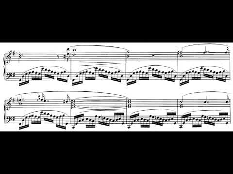 Chopin - Prelude Op. 28, No. 3 in G Major - Rafał Blechacz