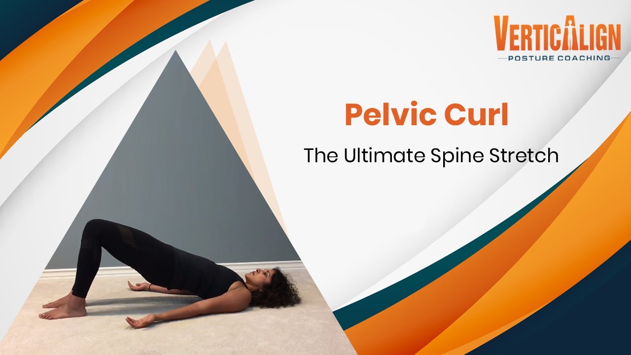 Pelvic Curl | The Ultimate Spine Stretch - YouTube