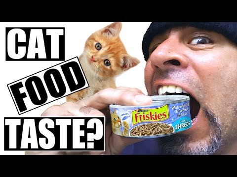 Does Cat Food Taste Good? | What Does Cat Food Taste Like?