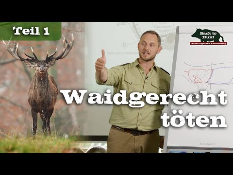 Waidgerechtes Töten | Teil 1