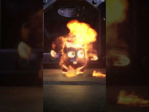 BONUS CHAMPION WILD CARD - Limited Time Only!