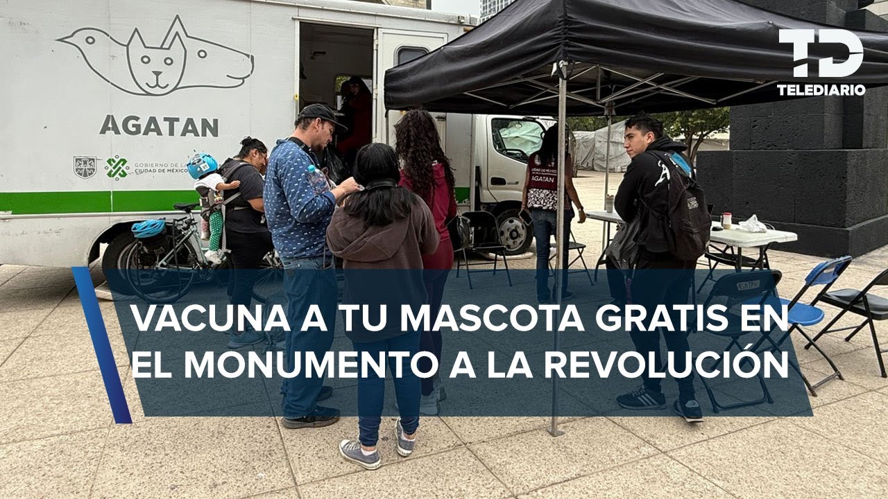 La Agencia de Atención Animal vacuna y desparasita de forma gratuita a mascotas en Revolución