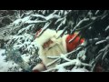 Дед Мороз - Главный Волшебник! Новый год, Россия 