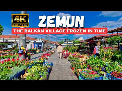 WALKING ZEMUN – The Most Beautiful Neighborhood in BELGRADE? 🇷🇸
