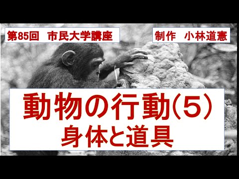 地域科学課程 動物の行動（５）身体と道具