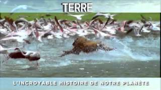 TERRE PLANETE SOUS INFLUENCE - Bande-Annonce