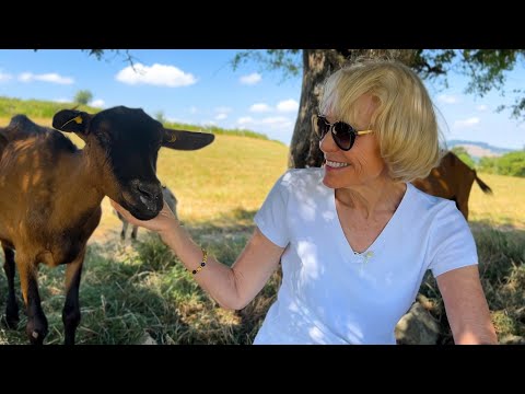Découvrez les trésors culinaires de Lyon et apprenez pourquoi le Beaujolais est l'une des régions...