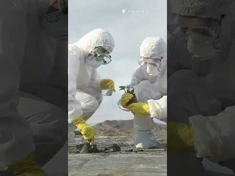 ¡Descubre el volcán oculto en San Luis Potosí! 🌋