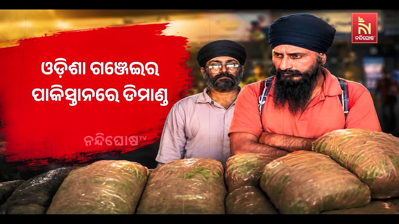 ଓଡ଼ିଶା ଗଞ୍ଜେଇ ମାୟାରେ ବିଦେଶୀ ବାୟା । ଭାୟା କାଶ୍ମୀର ଦେଇ ?