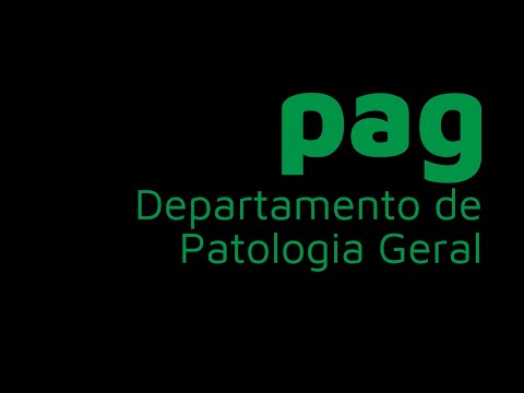 Degenerações Lipídicas