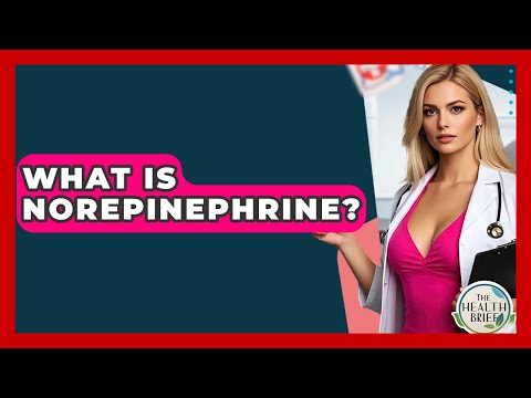 What Is Norepinephrine? - The Health Brief