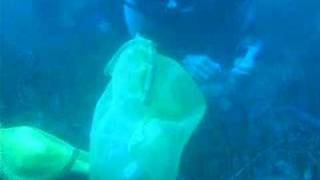 Muestreo de Posidonia