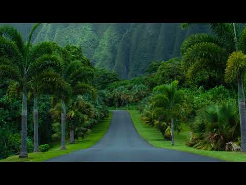 Tum Hi Hamari Ho Manzil My Love