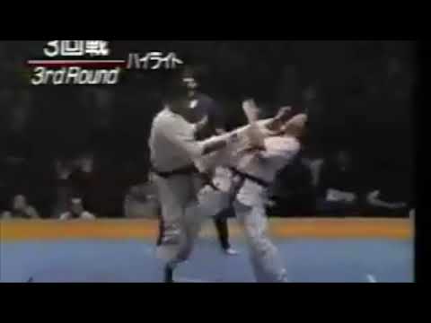 Best Kyokushin knockouts