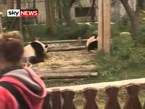 Stillbild från video via YouTube API