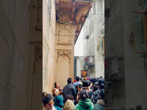 Madan Mohan ji mandir 🌸 #satjalsagar