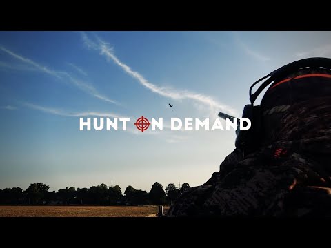 2.0 Crow Hunting - Krähenjagd im August – Jagdkrone Hunt on Demand Trailer