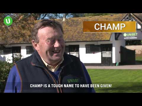 Nicky Henderson Stable Tour 2018/19 - Novice Hurdlers
