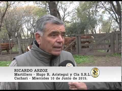10-06-15 Nota Ricardo Arzoz - Hugo R. Aristegui y Cia S.R.L. - Cacharì.