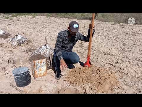 COMO PREPARAR UMA COVA DE MARACUJÁ PASSO A PASSO