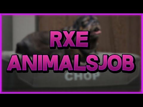 Animals Pets JOB