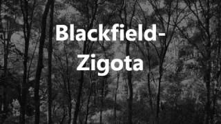 Blackfield - Zigota (lyrics)