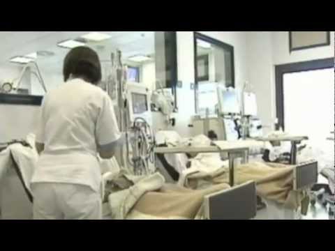 Testamento biologico