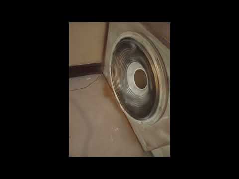 Frank B. - HauptSache POP!!! 😅 11.08.25 TECHNO VON MORGEN!!! 🫢 