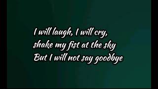 I Will Not Say Goodbye - Danny Gokey