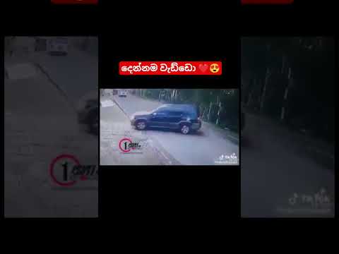 වාහනේ පැදපු දෙන්නම වැඩ්ඩො 😍❤️ #autopower #love #lucidcaroftheyear
