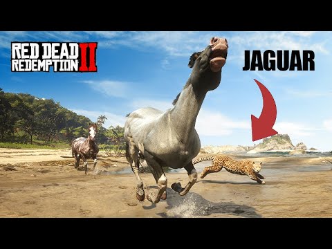 Winning the Criollo Horse - Jaguar Hunter and more - The Horse Collector - ep19