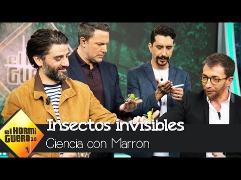 Ben Affleck y Oscar Isaac rodeados de insectos 'invisibles' - El Hormiguero 3.0