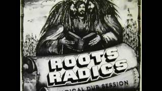 DUB LP- RADICAL DUB SESSION - ROOTS RADICS - Cool In Dub