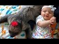 Adorable Friendship Between A Sloth And A Baby