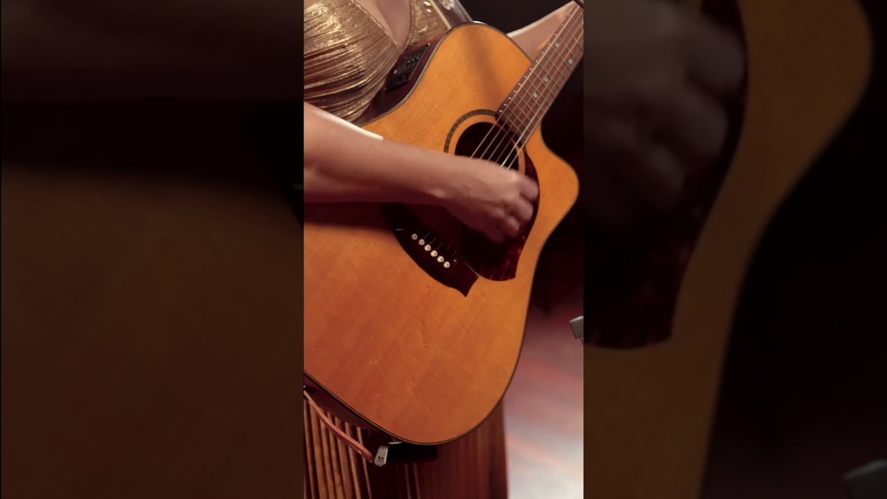 Vienna - Janece from Wedding Music Perth