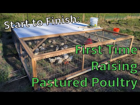 Start to Finish: Raising Pastured Poultry (Joel Salatin Method)