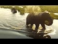 Fly Okavango Overview