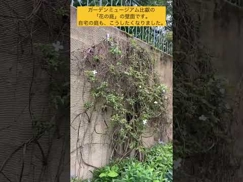 スローガーデニング、ケサコ？ 2023年、穏やかに楽しくガーデニングをするための「スローガーデニング」5原則  庭園