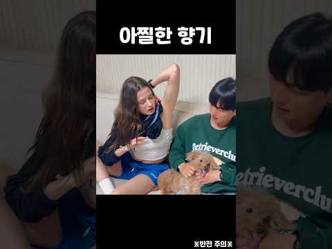 아이콘