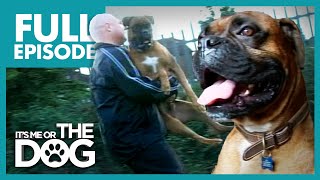 The Bouncing Boxer: Zulu | Full Episode | It&#39;s Me or the Dog