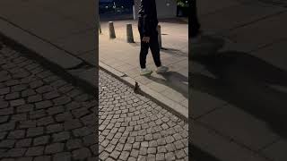 Download lagu Person Guides Baby Hare Safely Off Street mp3