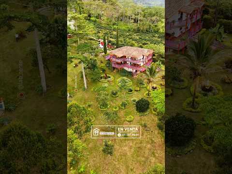 Hermosa finca ganadera tradicional antioqueña | Fredonia 🐄🍃🌺