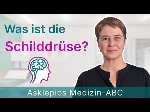 Was ist die Schilddrüse? - Medizin ABC | Asklepios