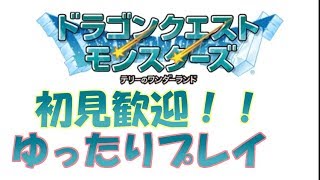 まったりプレイでテリワンやるよ1日目[テリーのワンダーランドレトロ]