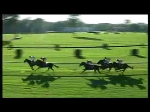 2014.09.28 Slovenský St. Leger CHARVÁT - Kilword