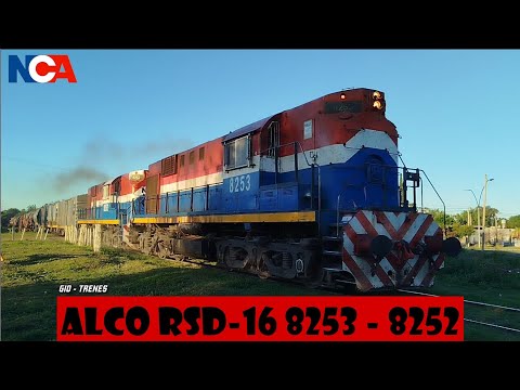 🚂🚂 Tren de NCA en la hermosa tarde de San Lorenzo 🌇