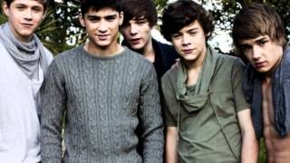 one direction nice song- What Makes You Beautiful